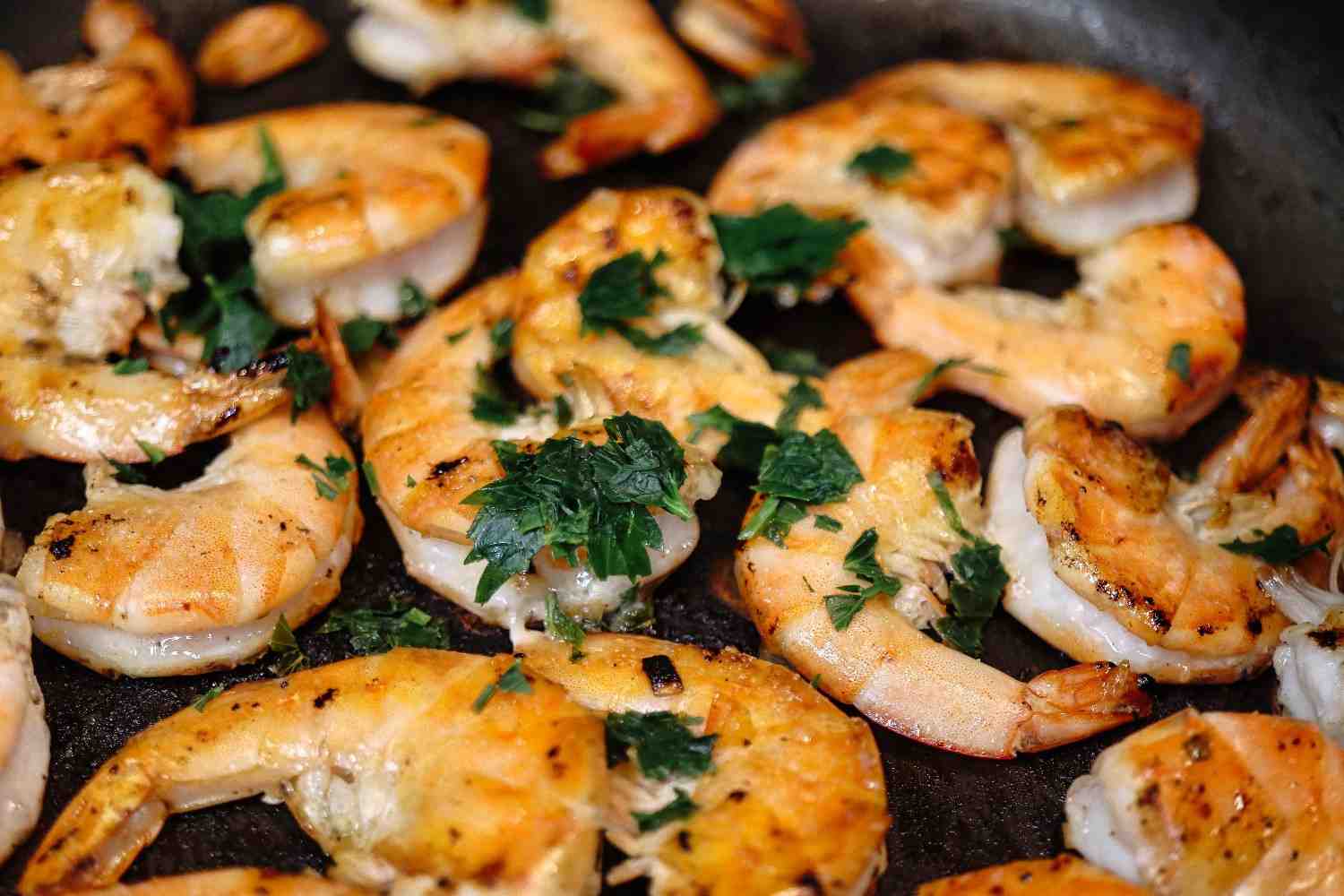 Scampi(9)